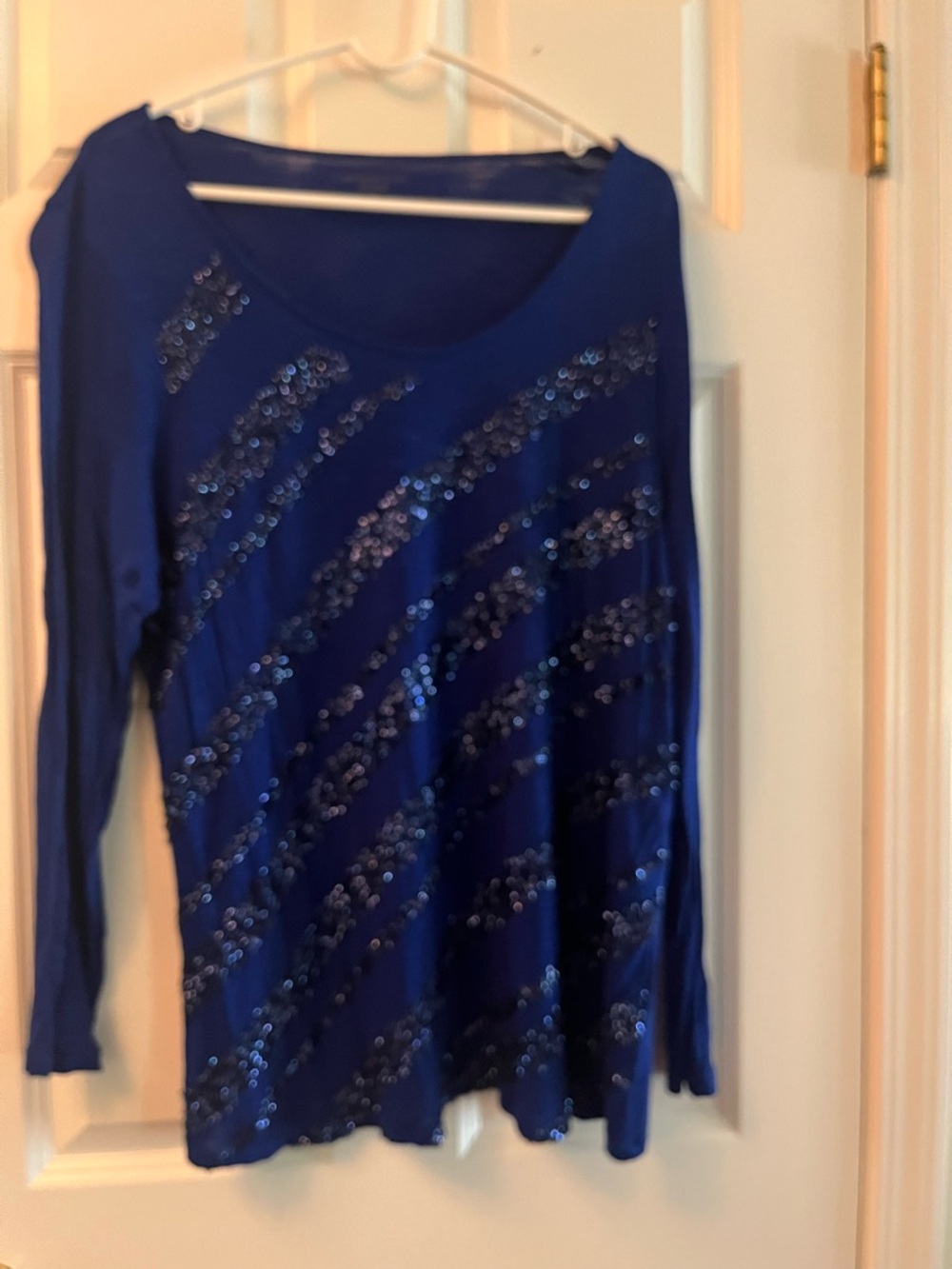 Coldwater Creek Royal Blue Sequin Long Sleeve Top